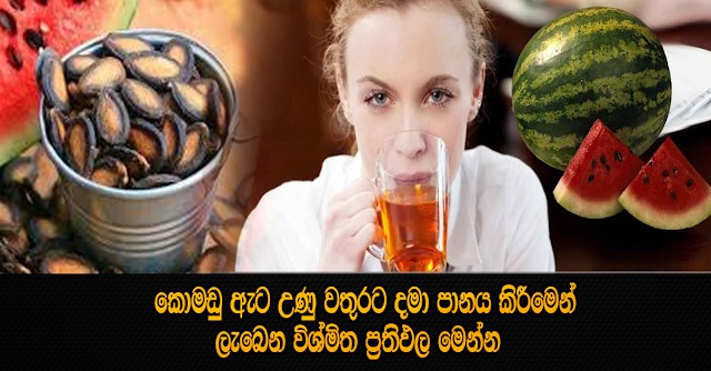 WhatsApp Image 2026-02-02 at 9.16.00 PM