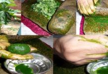 ඩෙංගු වලට සොයාගත් ගස්ලබු කොළ යුෂ පානය සකස් කරන බෙහෙත් වට්ටෝරුව මෙන්න.