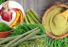 දියවැඩියාව සුව කරන විශ්මිත ශාකයක් වූ මුරුංගා වල ඇති ඔබ නොදත් ගුණ මෙන්න…