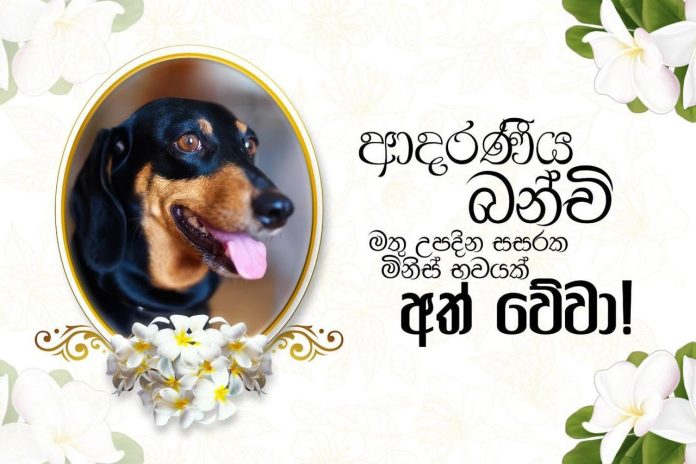 WhatsApp Image 2026-02-07 at 11.06.57 PM (1)