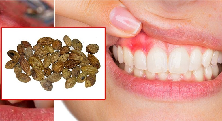 WhatsApp Image 2026-03-05 at 11.06.27 AM