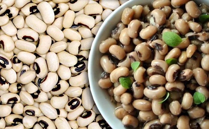 WhatsApp Image 2026-03-05 at 12.03.08 PM