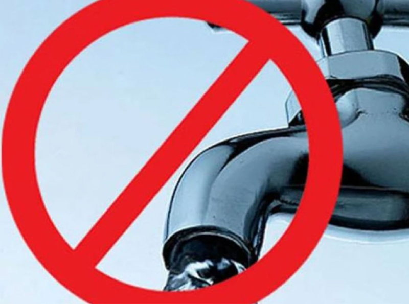 WhatsApp Image 2026-03-11 at 10.09.04 AM