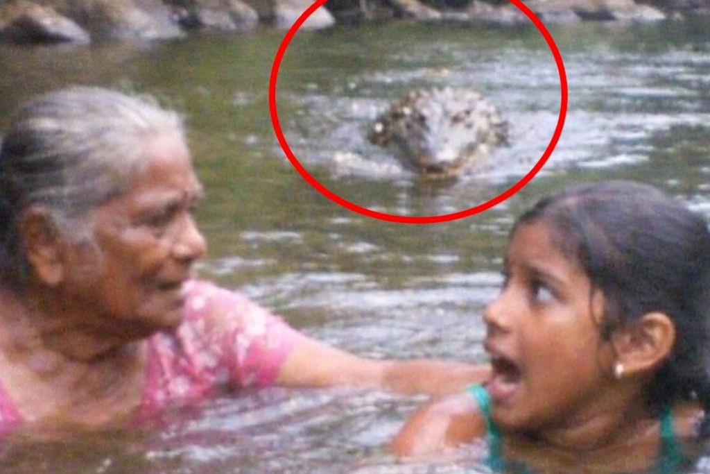 WhatsApp Image 2026-03-20 at 11.28.44 AM