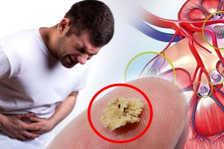 WhatsApp Image 2026-03-27 at 11.21.31 AM