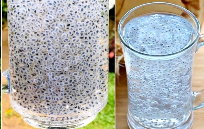 WhatsApp Image 2026-03-28 at 11.29.36 AM