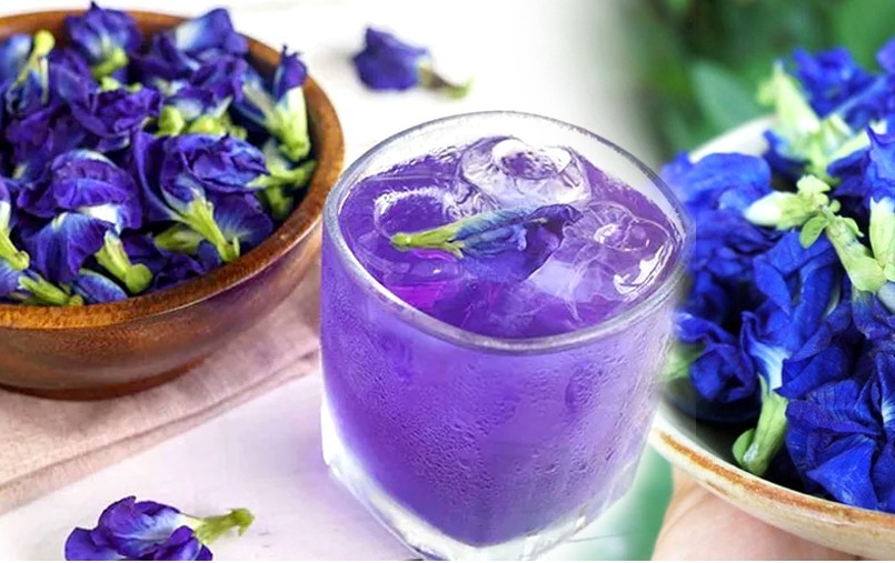 WhatsApp Image 2026-03-30 at 1.51.16 PM