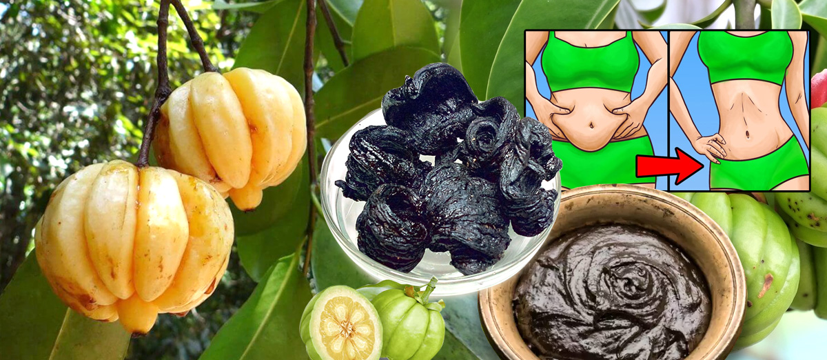 ගොරකා චුර්ණයෙන් බඩ අඩුකරගන්න හැටි මෙන්න