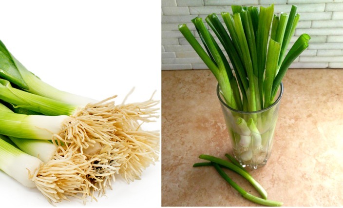 දියවැඩියාව නිට්ටාවට සුව කරගන්න ලීක්ස්වලින් ස්වභාවික පානයක් හදන හැටි