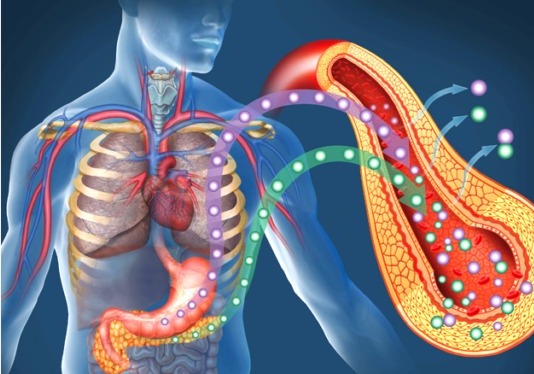 හෘද රෝග දියවැඩියාව නැති කරගන්න ඔබත් දිනපතා මේ දේවල් කරන්න..