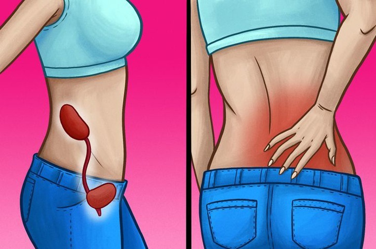 ඔබටත් මේ ලක්ෂණ 10 තියෙනවනම් ඔබේ වකුගඩු හරියට ක්රියාකරන්නේ නෑ – ශරීරය අඩපණ වෙන්න පුළුවන්