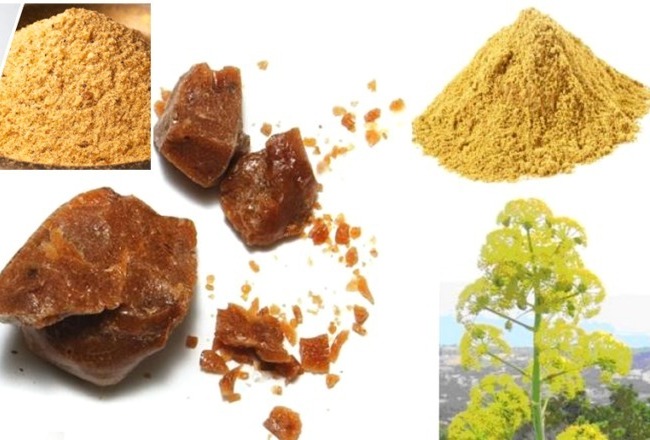 බෝවන රෝග මට්ටු කරන්න මෙන්න කියාපු ඖෂධය.. පෙරුම්කායම් ගැන ඔබ නොදත් විශ්මිත ගුණ මෙන්න.