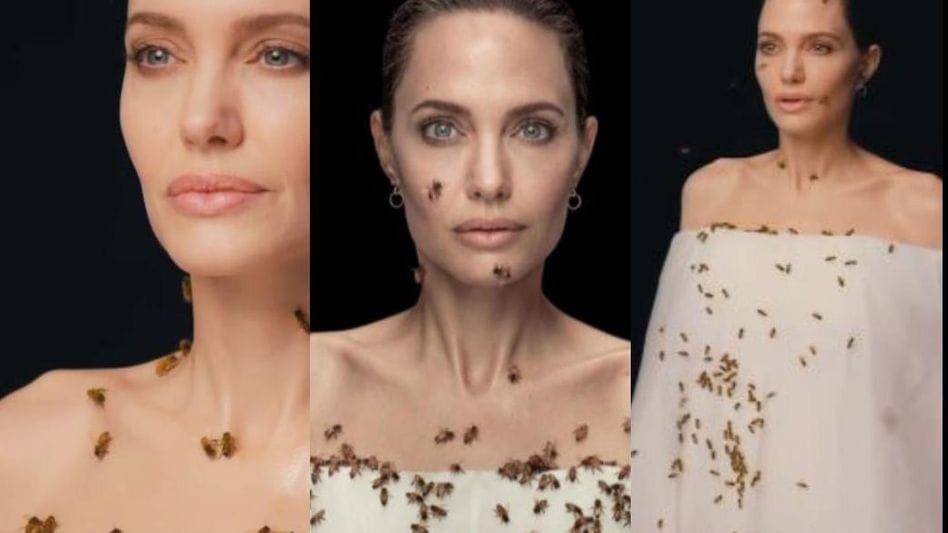 මී මැසි ආදරෙට දවස් තුනක් නෙනා හිටිය ඇන්ජලීනා ජොලි ගැන ඇසෙන අමුතු කතාව මෙන්න..