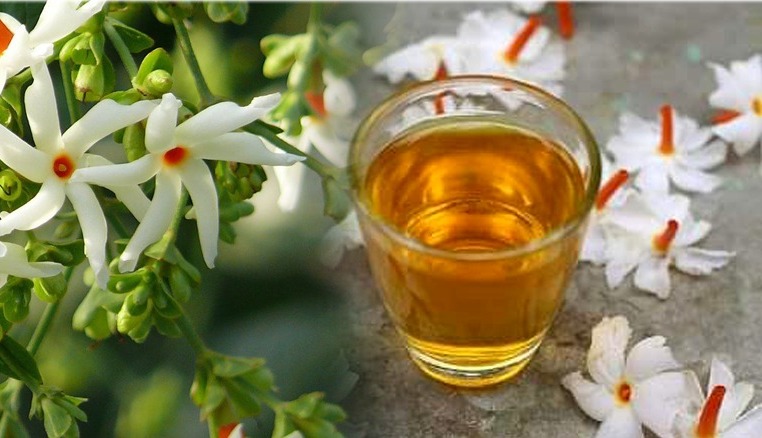 රුධිරගත සීනි මට්ටම පහත හෙලන, ආතරයිටිස්, අර්ශස් රෝග වළකන සේපාලිකා මල් සත්කාරය තුළින් ලැබෙන ප්රතිඵ්ල වලින් ඔබත් පුදුම වේවී.