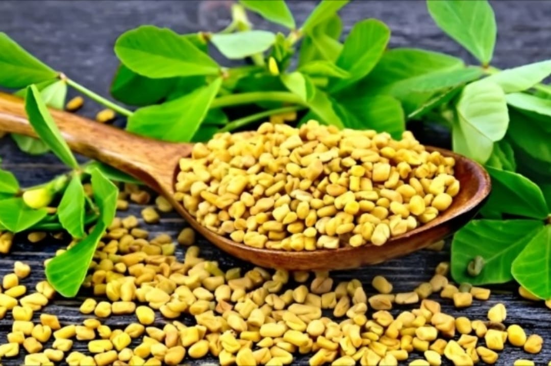 උළුහාල් කියන්නේ දිව්යමය ඖෂධයක්… උළුහාල් වලින් මේ තරම් ලෙඩ ගොඩක් හොඳ කරන්න පුළුවන් කියලා ඔයත් දැනගෙන හිටියද ?