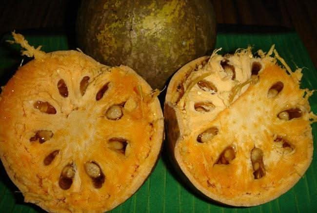 “මිදුලේ තිබුණට වටිනාකම නොදන්නා රත්තරන් ගෙඩිය” ලෙඩ රෝග රැසකට තිත තබන විස්මිත බෙලි ඔසුව ගැන මෙන්න!